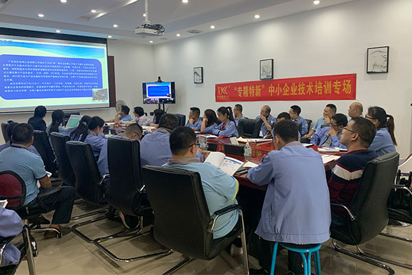 助力“专精特新”企业，尊龙凯时人生就是搏走进嘉龙海杰开展专场手艺培训